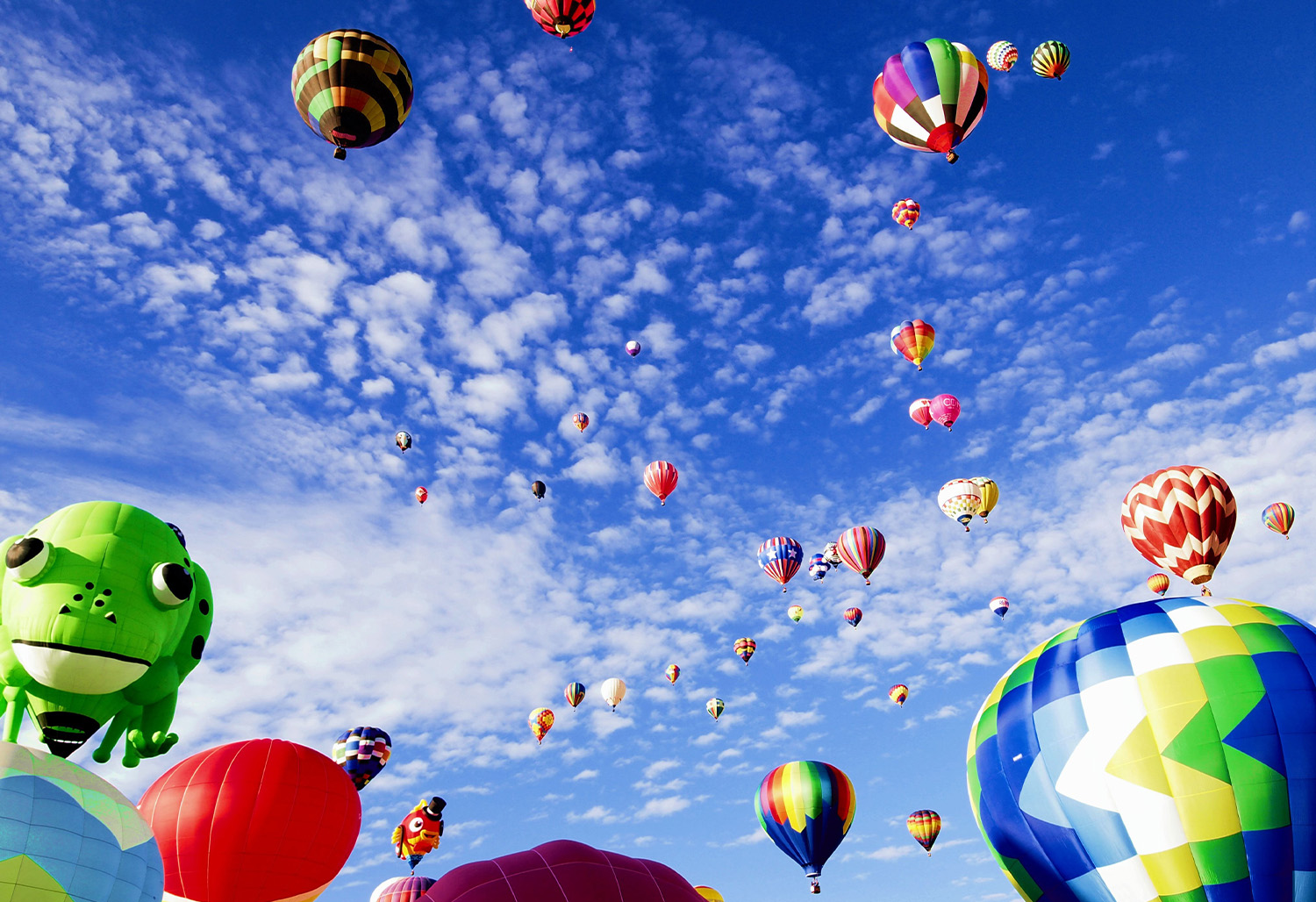 Albuquerque Balloon Fiesta_