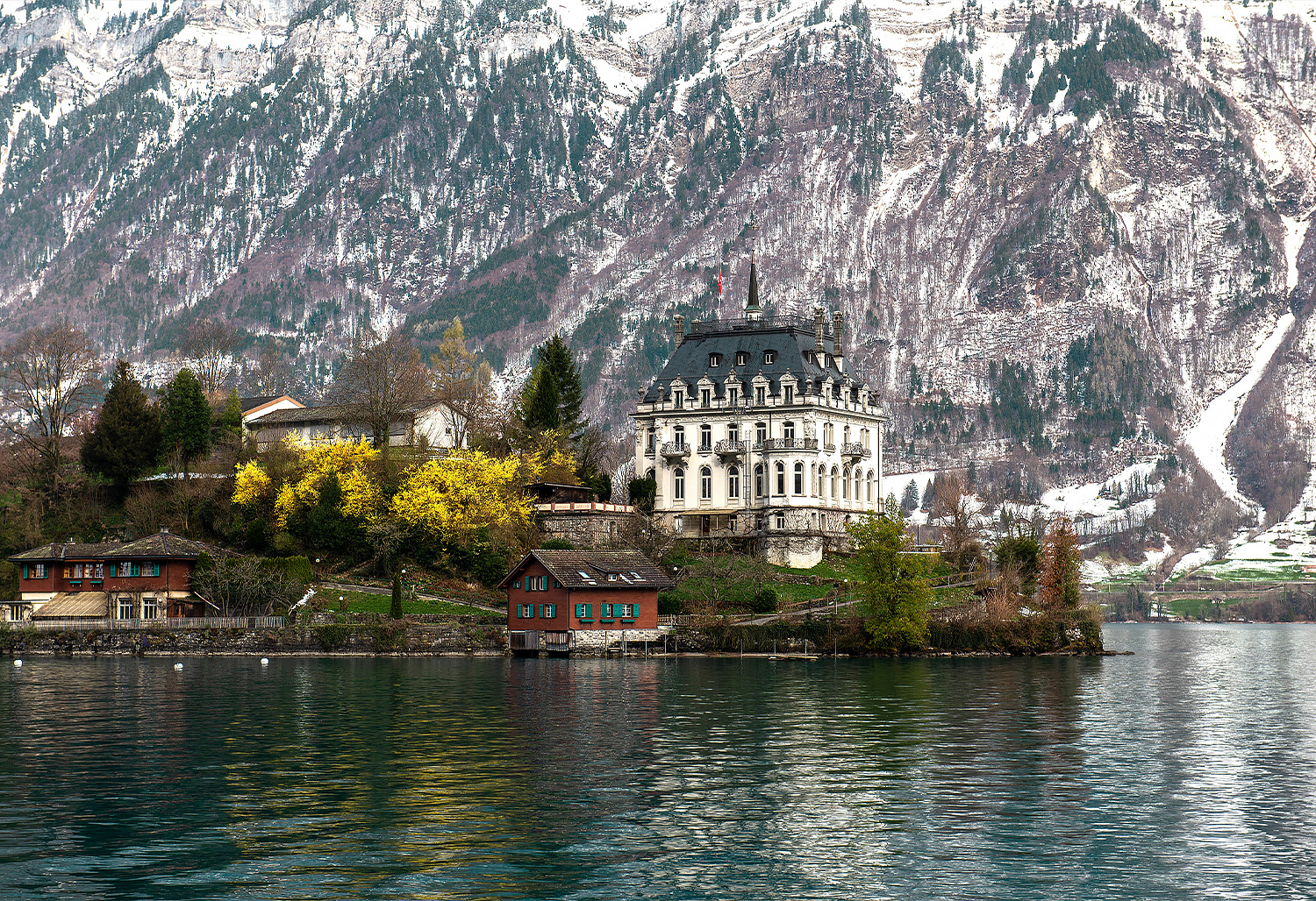 Alpine Swiss Villages Rails 4