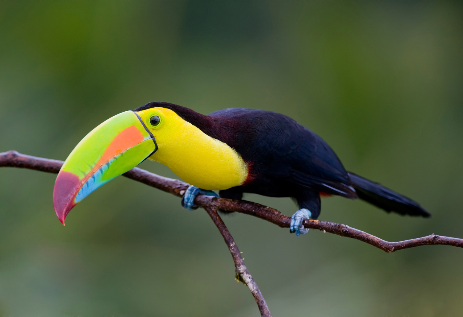 Colorful Costa Rica 18