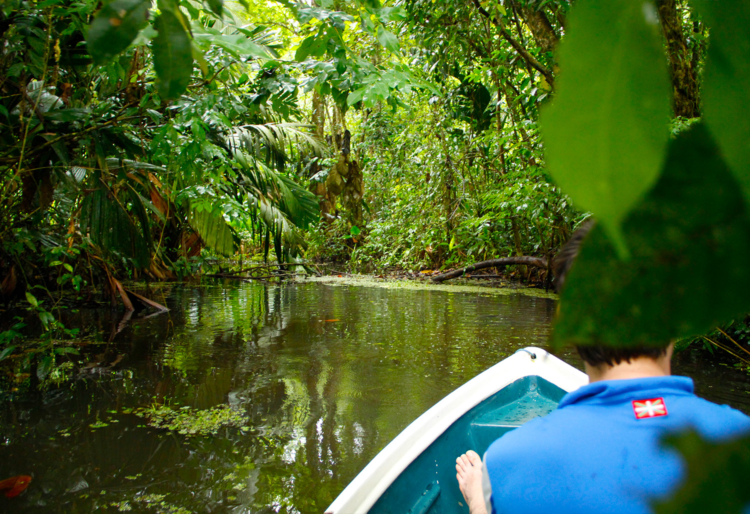 Colorful Costa Rica 28