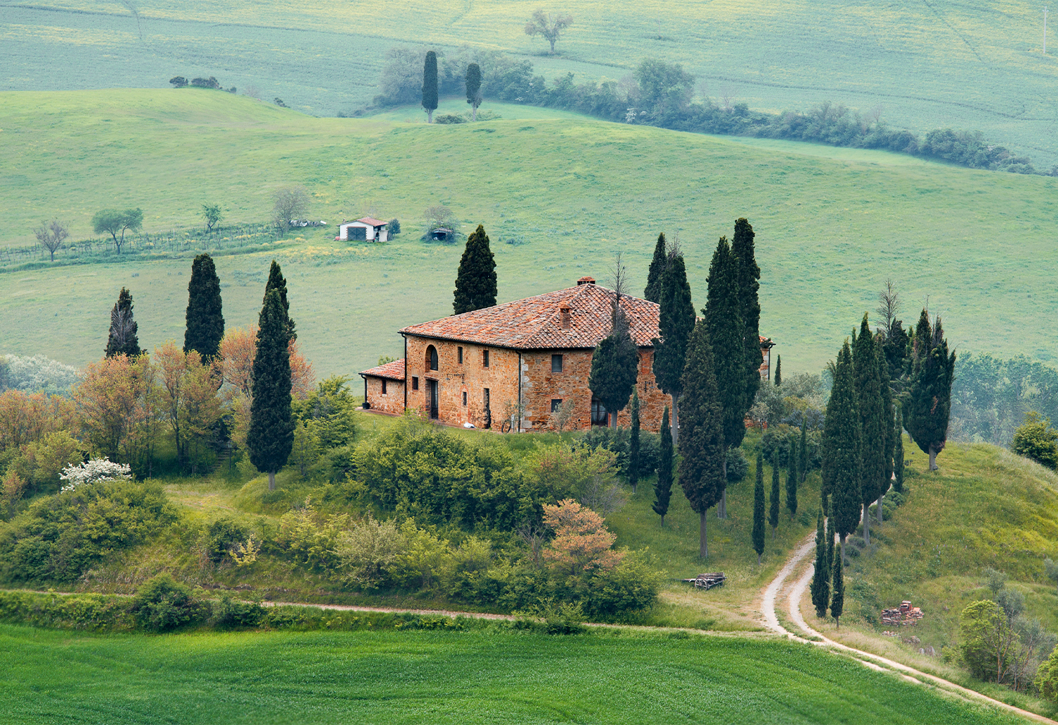 Culinary Journey Tuscany 11