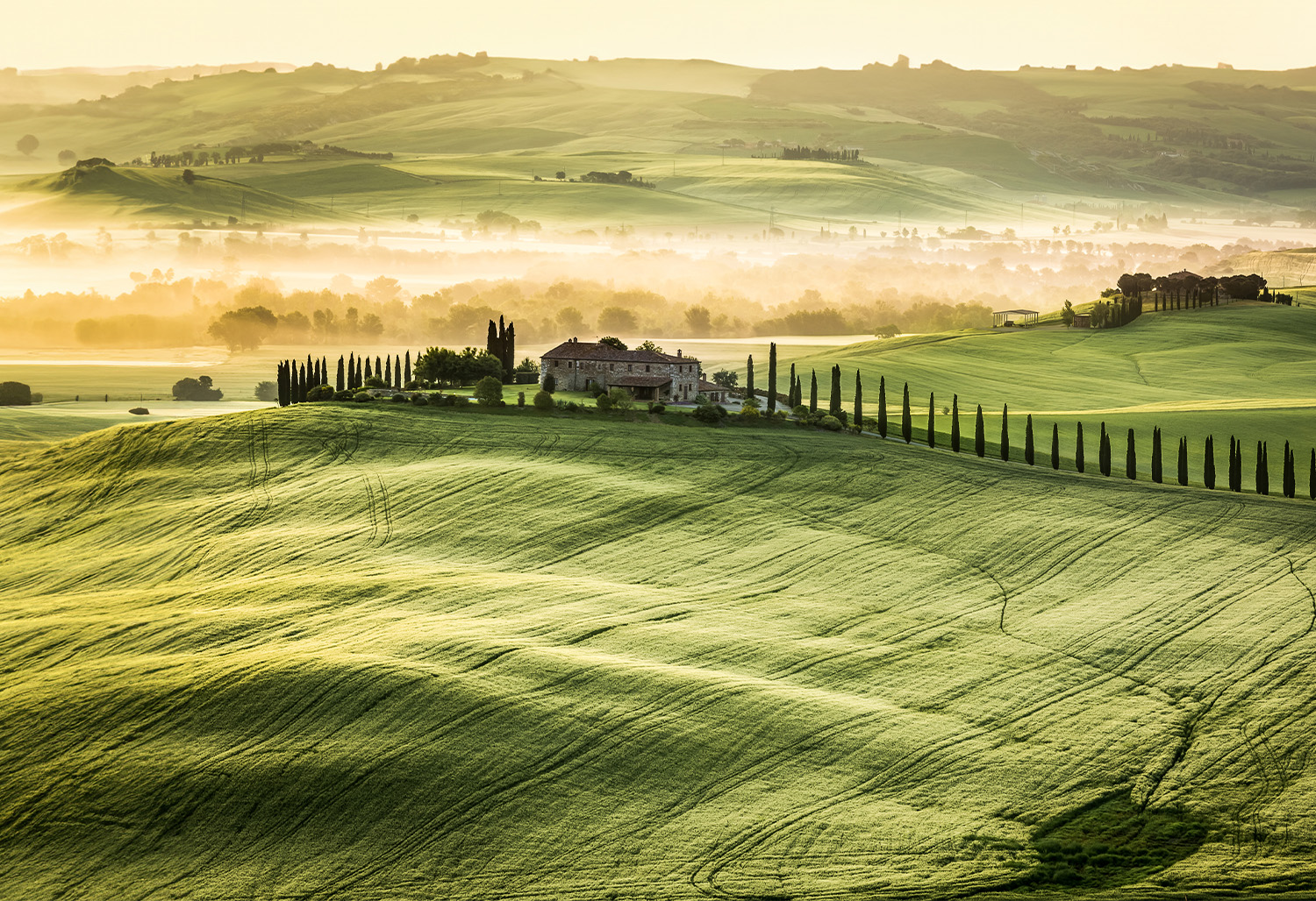 Rome Country Roads of Tuscany2