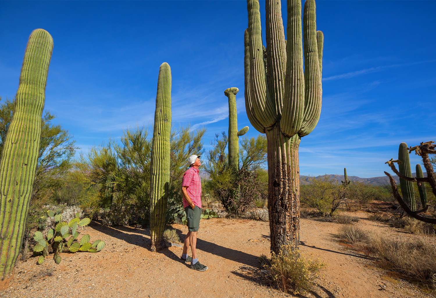 Arizona Spring Training 8