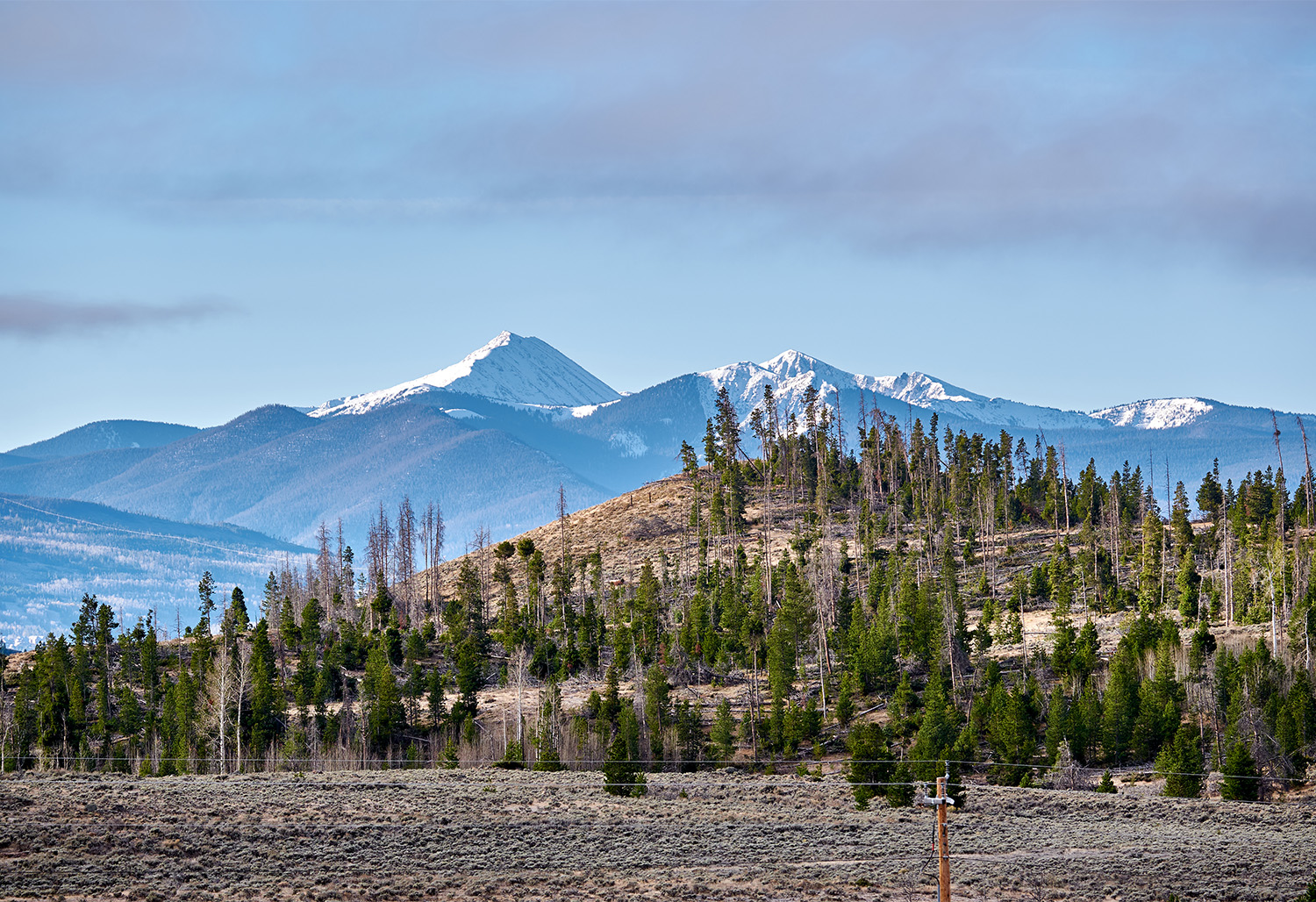 Colorado Rockies Rails 8