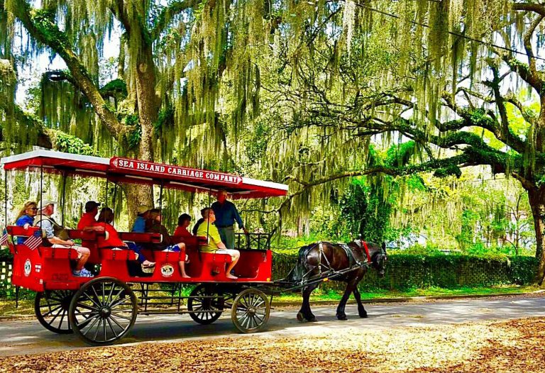 Historic Savannah Charleston 4