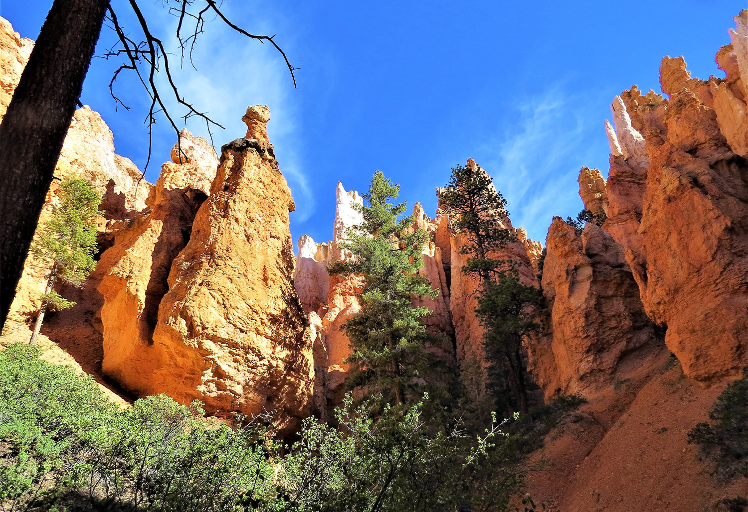 National Parks Canyons Southwest 4